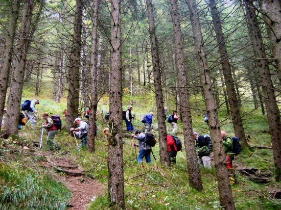 018 001 fp 026 018 001 fp 026