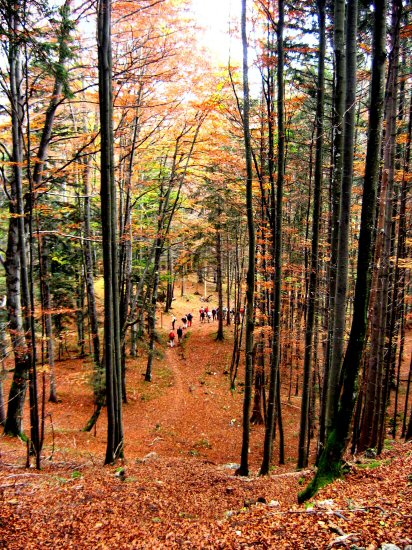 018 009 fp 043 018 009 fp 043