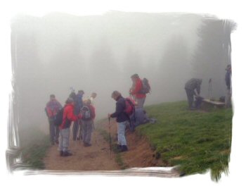 14 Der Nebel wird dichter