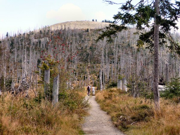 2009.09.10 Lusen 10 2009.09.10 Lusen 10
