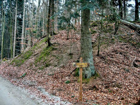 800px-Ringgenburg_Schmalegg_Wall1