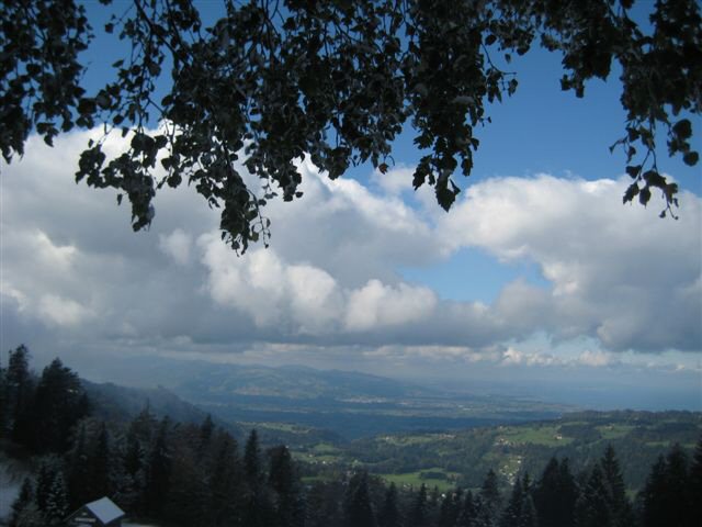 AV MIWA Bödele 014 AV MIWA Bödele 014