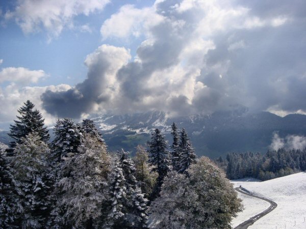 Bödele 14.10.09 01302 Bödele 14.10.09 01302