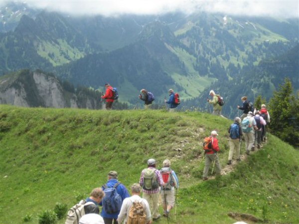 Bullerschkopf 10.06.09 016
