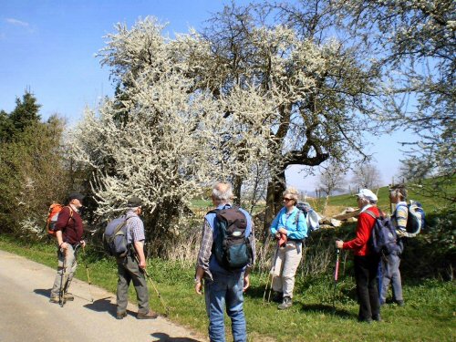 Kssaburg 20.04.10 HH (13)