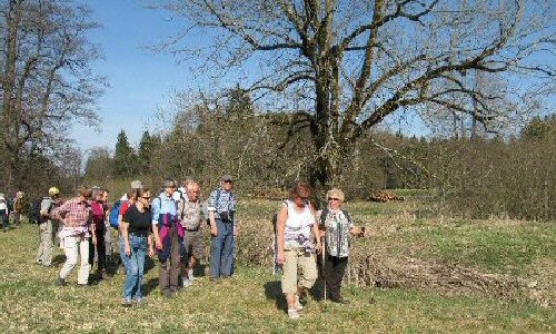 M�rzenbecher 2012 Pf�rrich (14)