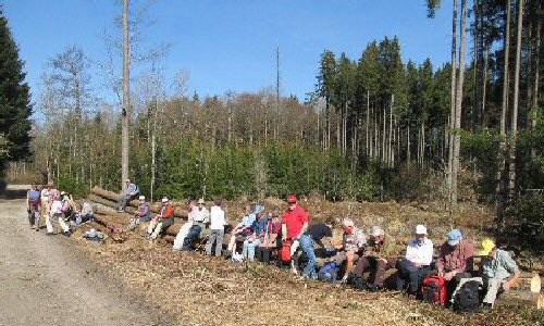 M�rzenbecher 2012 Pf�rrich (9)