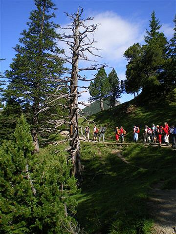 Schnberg-Galinakopf 010