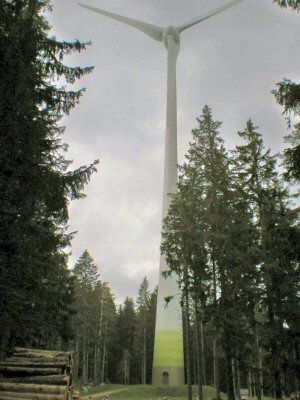 Schwarzwald-Rund um Schonach 016