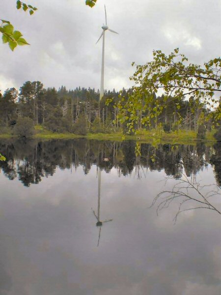 Schwarzwald-Rund um Schonach 028