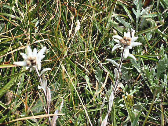 Tourenwoche Berchtesgaden 2007 05502
