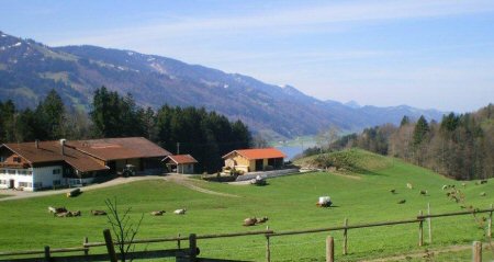 ber dem Alpsee 00802