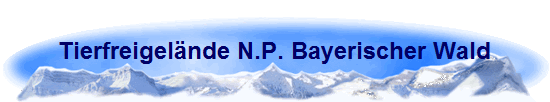 Tierfreigelnde N.P. Bayerischer Wald