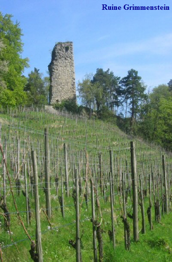 10 Ruine Grimmenstein