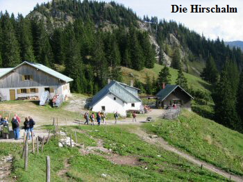 31 Hirschalm