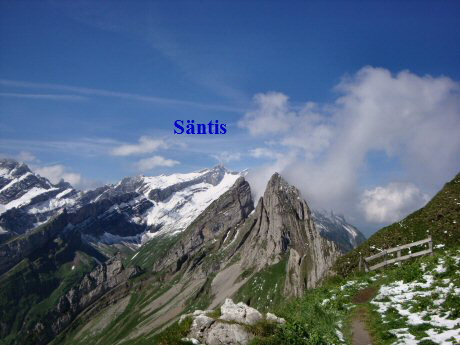 Schwende 23.06.10 028