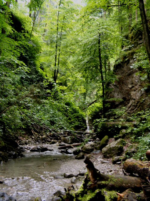 fp 007 �rflaschlucht