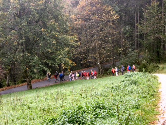 fp 02 Kammerhaldenweg - Witthohstraße fp 02 Kammerhaldenweg - Witthohstraße